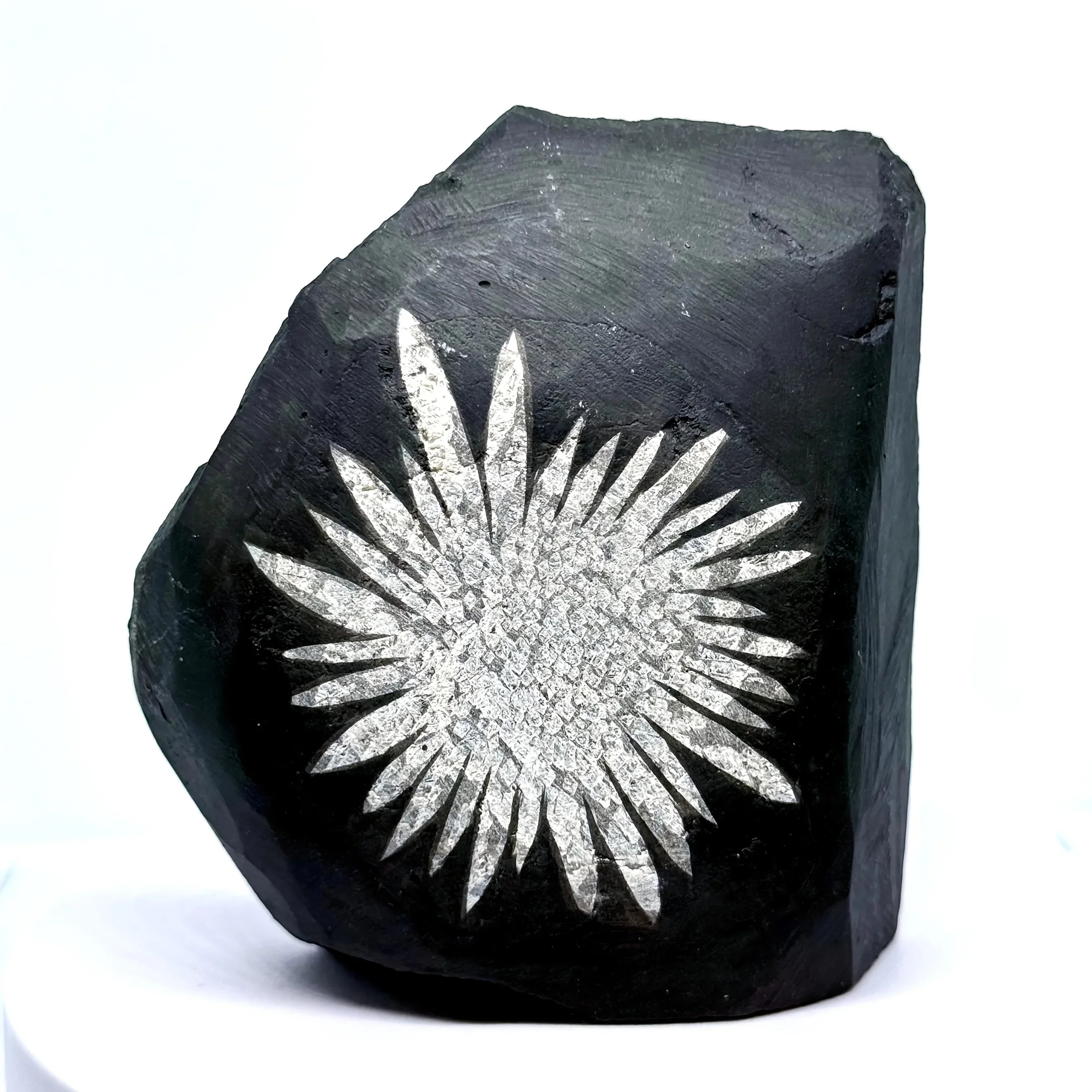 1pc Natural Chrysanthemum Stone Crystal Stone | Irregular Raw Mineral Specimen