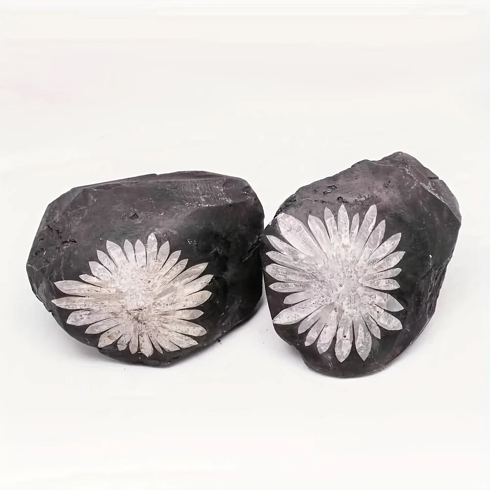 1pc Natural Chrysanthemum Stone Crystal Stone | Irregular Raw Mineral Specimen