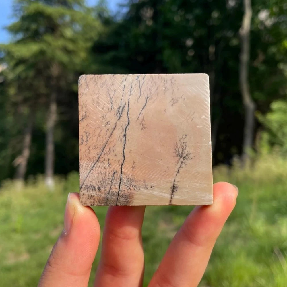 Natural Picture Jasper Stone Square Slice