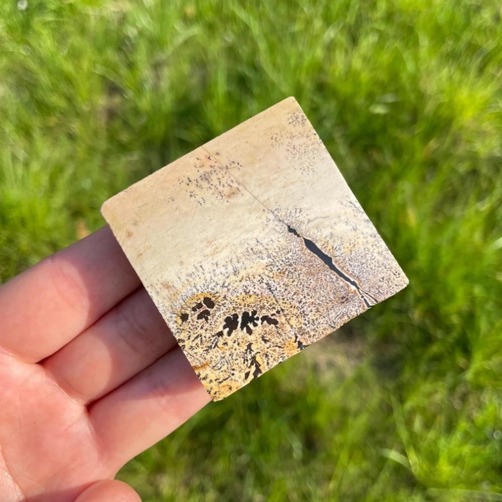 Natural Picture Jasper Stone Square Slice