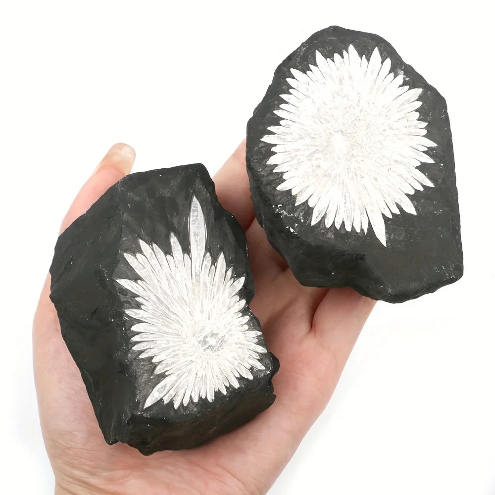 1pc Natural Chrysanthemum Stone Crystal Stone | Irregular Raw Mineral Specimen
