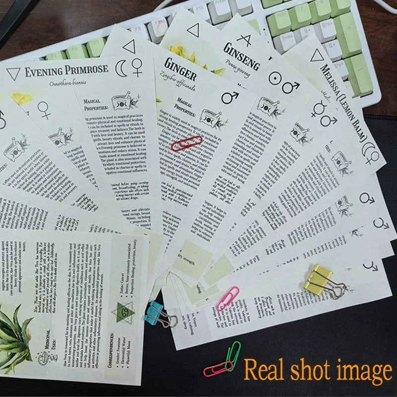 Herbal Home Pharmacist Natural Remedies Book Personal Apothecary Self Healing Wellness Guide Holistic Health